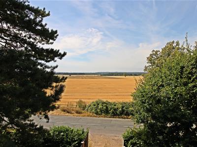 Picture 25